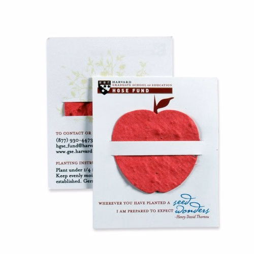 Lil' Bloomer Mini Gift Card