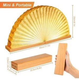 Fan Lamp 1
