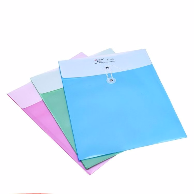 Colorful A4 Plastic Transparent File bag