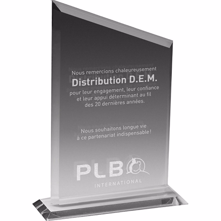 Clear Acrylic Declaration Award (5 3/4"x 8 1/2"x 3/8") Laser Engraved