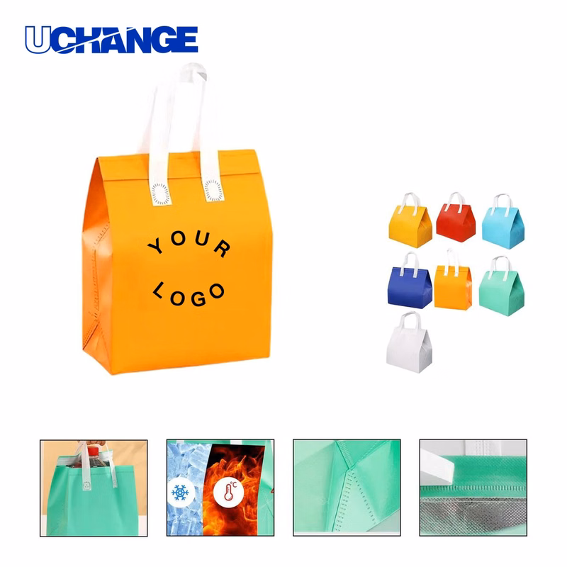Cooler Tote Bag Carrier with Hook and Loop Closure