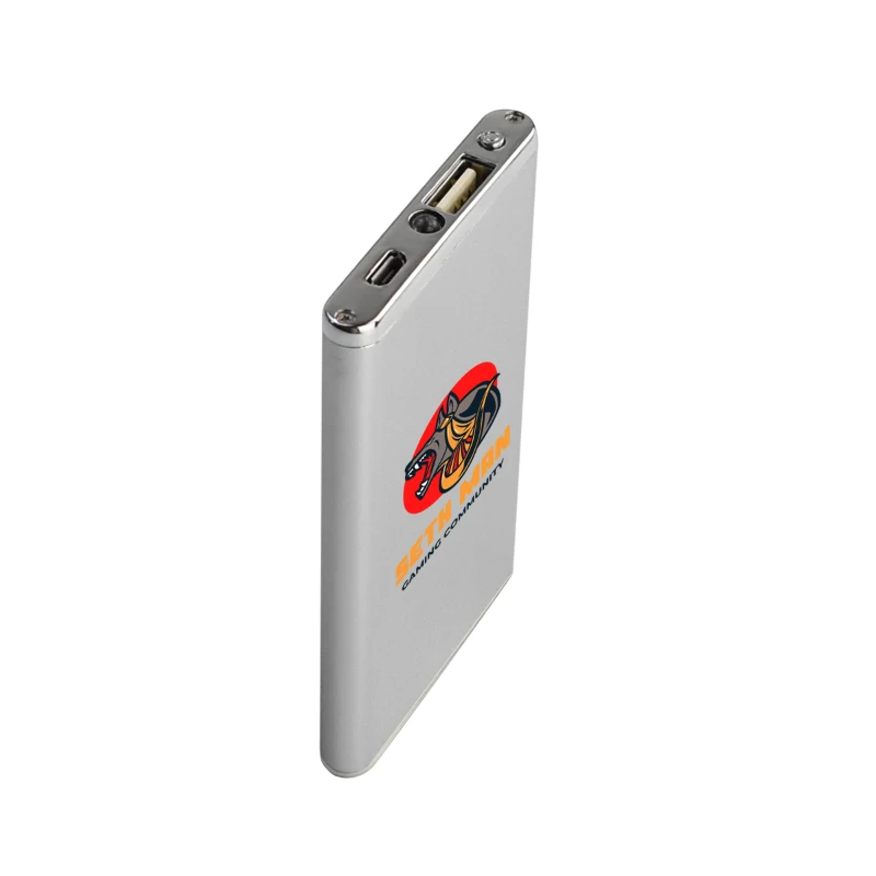 Winnemac Sleek Metallic Slim Power Bank 1