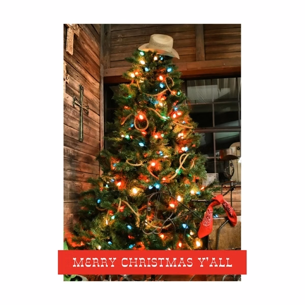 Merry Christmas Y'all Holiday Greeting Card
