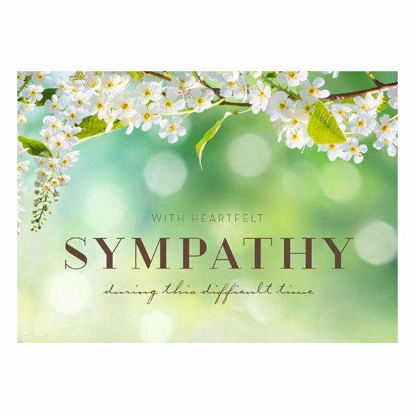 Spring Blossoms Sympathy Greeting Cards