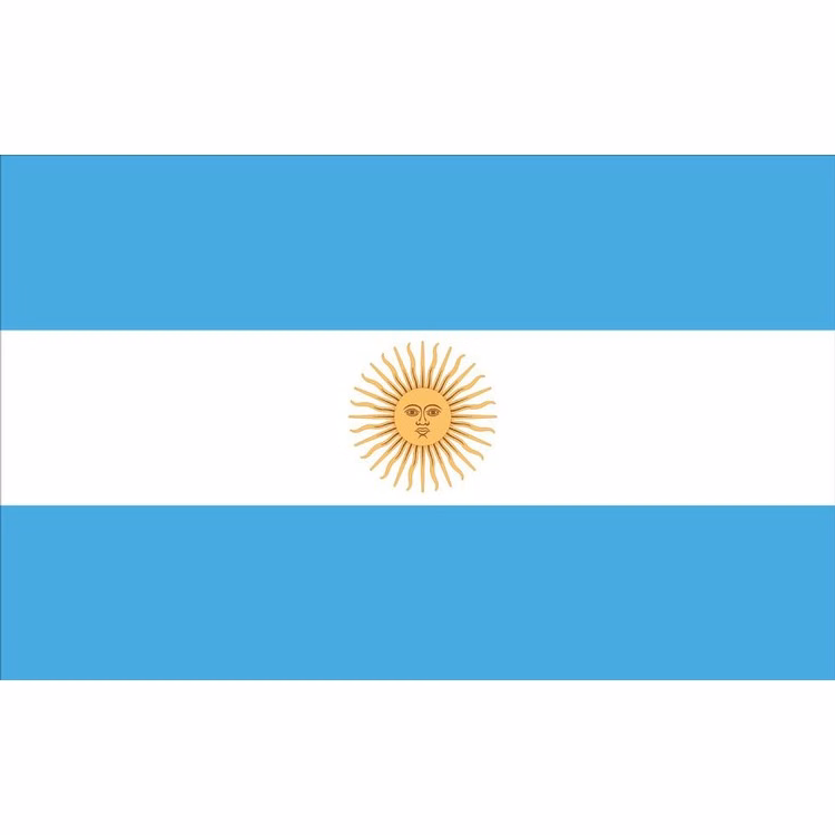 Argentina Flag - 2' x 3' - Nylon without Seal