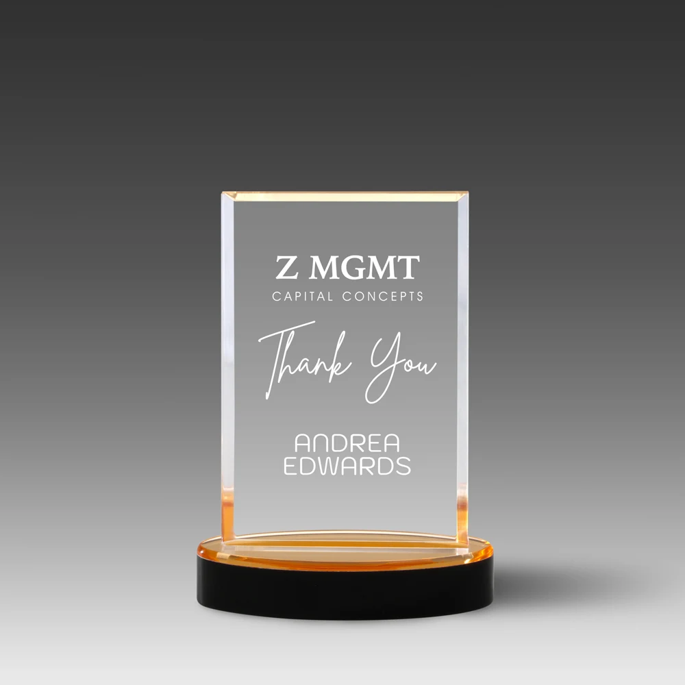 Value Mirror Vista Award (4" x 5-7/8" x 1") 1