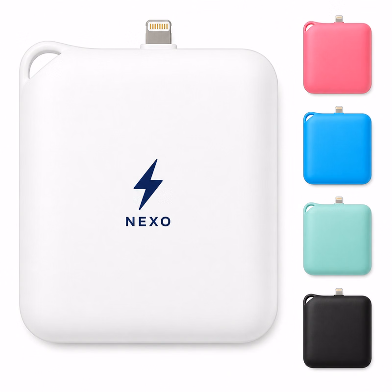 ABS Direct Plug Mobile Power Bank