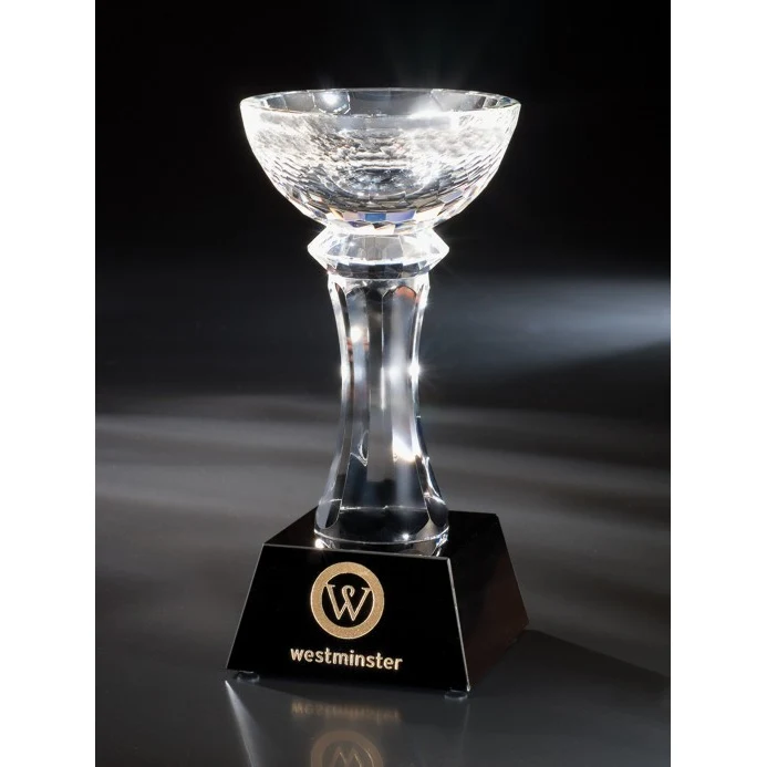 Contemporary Vistas Crystal Suncrest Award 1