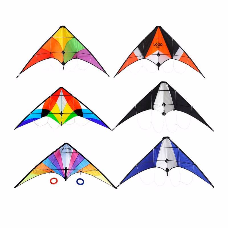 Beach Kite