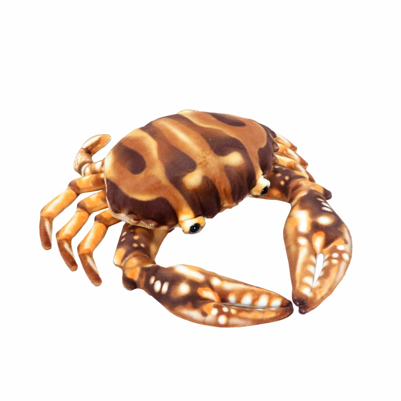 Brown Crab