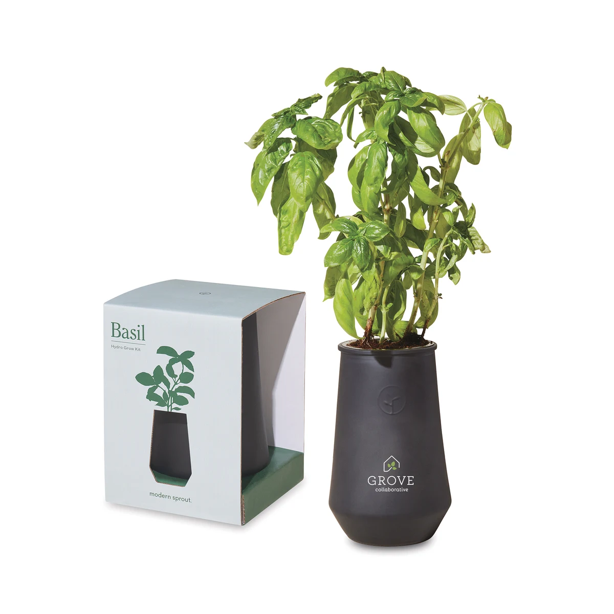 Modern Sprout® Tapered Tumbler Grow Kit 1