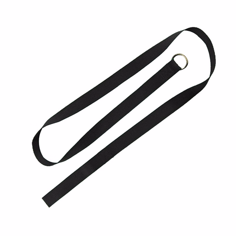 Paws for Life Slip Leash