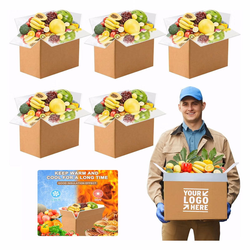 9"x5"x6"Thermo Chill Insulated Shipping Box Food Cooler Mailing Carton with Aluminum Foil Liner 