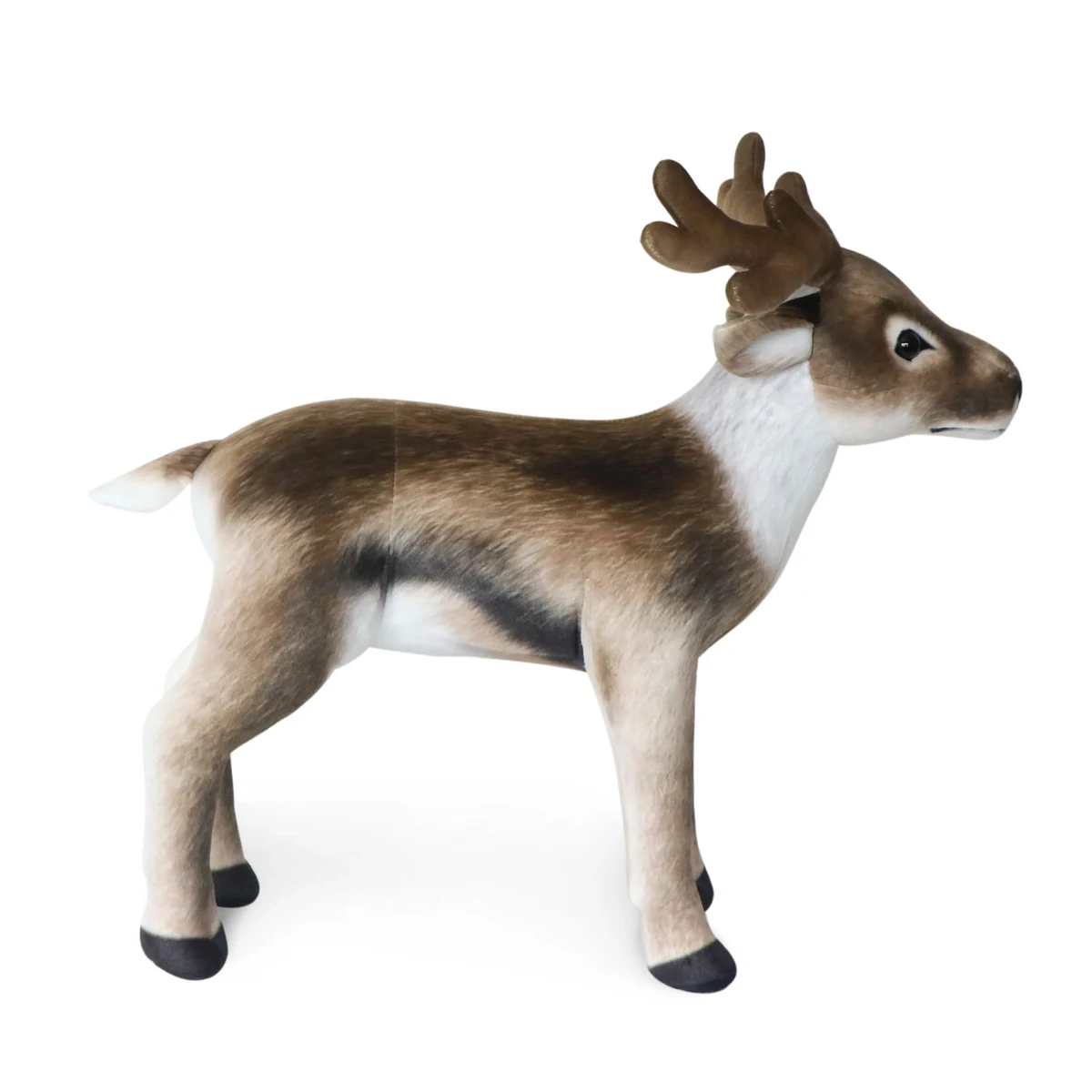 Deer 56 1