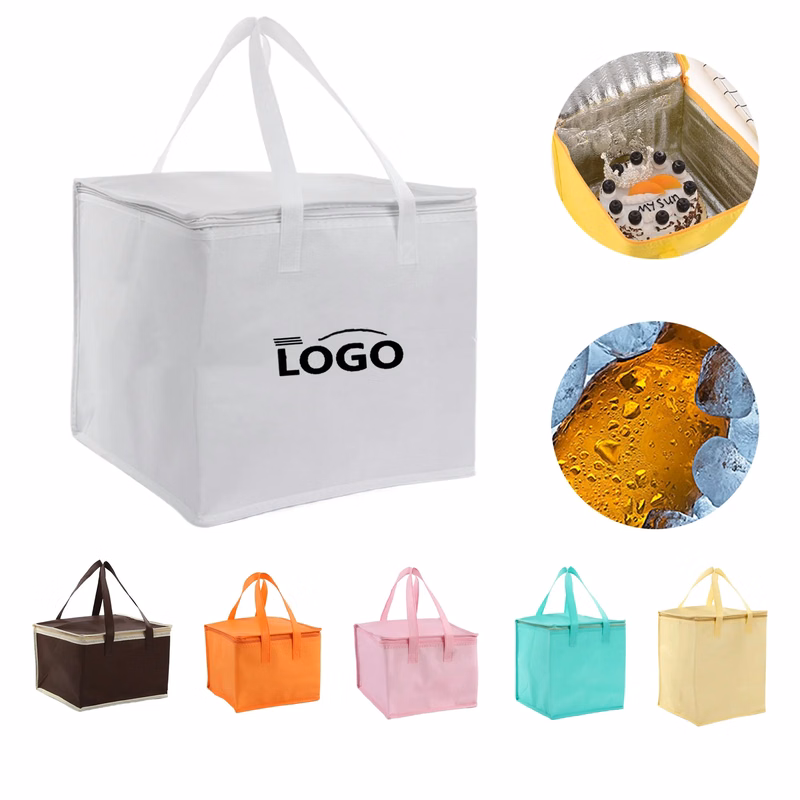 MOQ50 Waterproof Zippered Non-woven Outdoor Insulated Bag