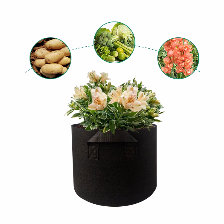 5 Gallon Grow Bags