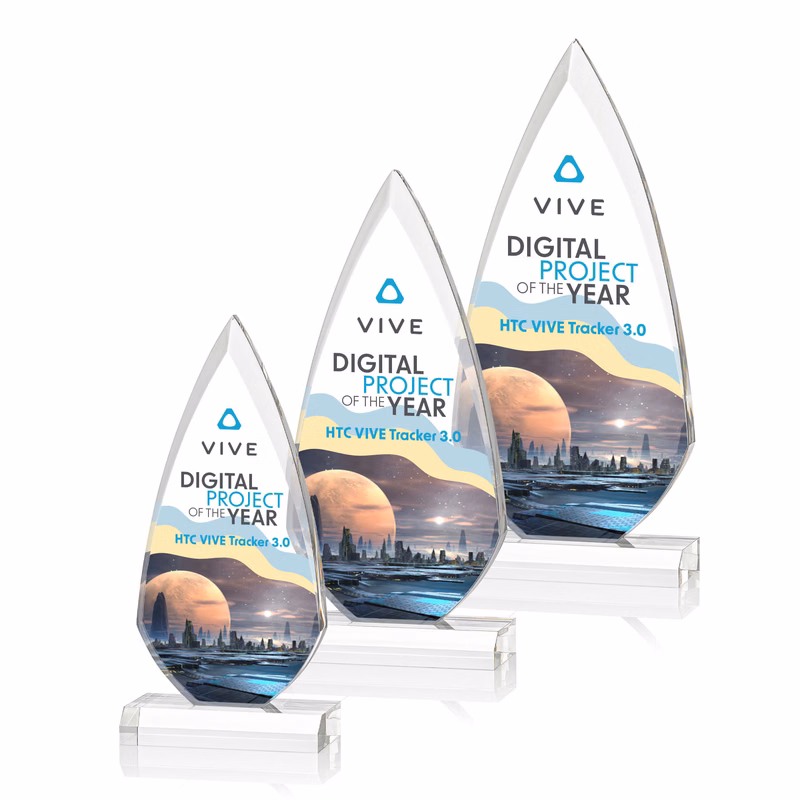 Vanderbilt VividPrint™ Award