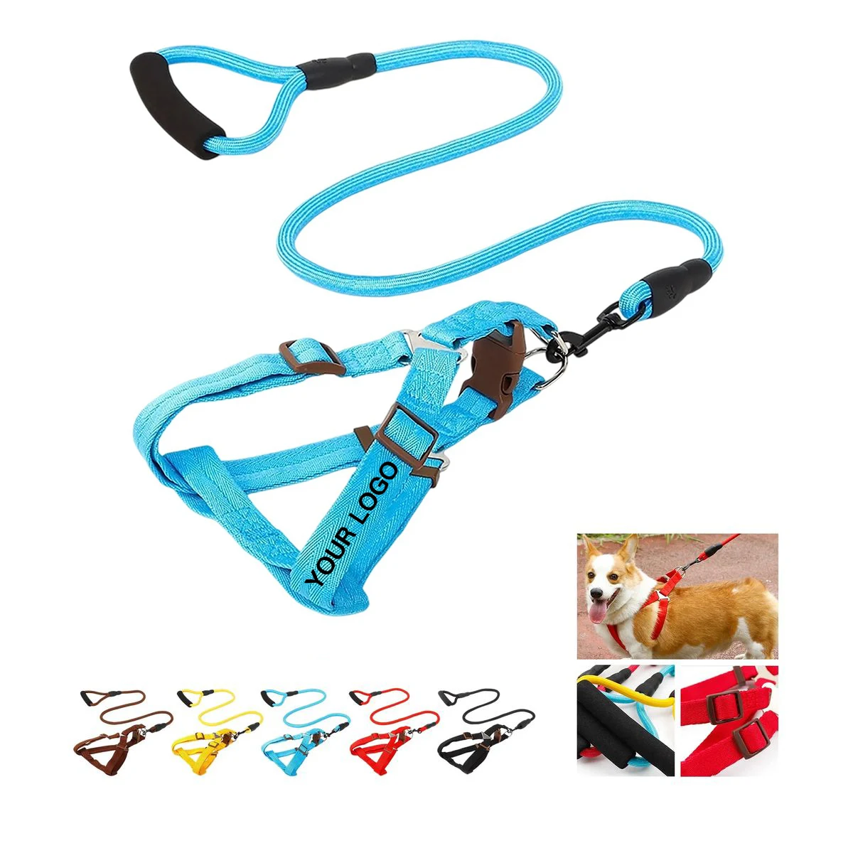 Nylon Walking Leash with Snap Hook 1