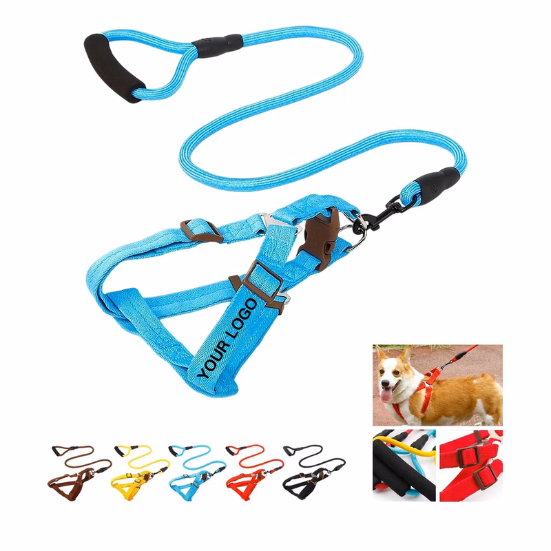 Nylon Walking Leash with Snap Hook