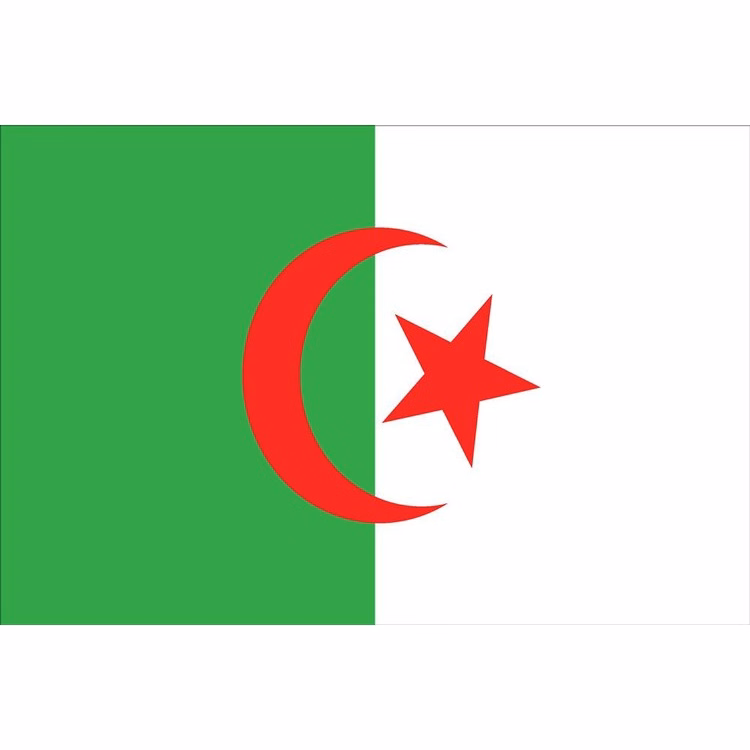 Algeria Flag - 2' x 3' - Nylon