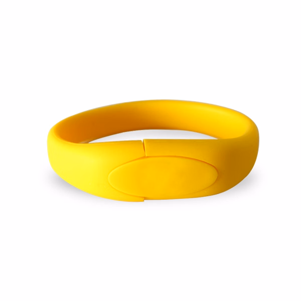 Warrenville Silicon Wristband USB Flash Drive
