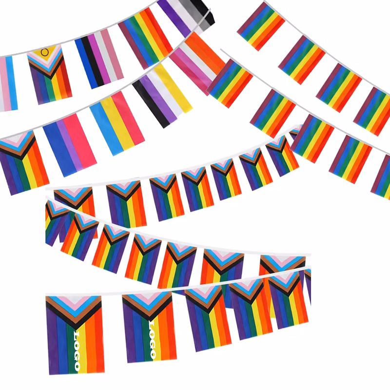Progressive Pride LGBTQ Flags Banner