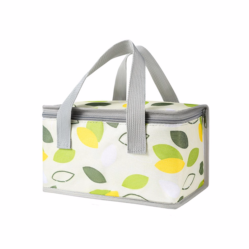Insulated Reusable Collapsible Cooler Bag