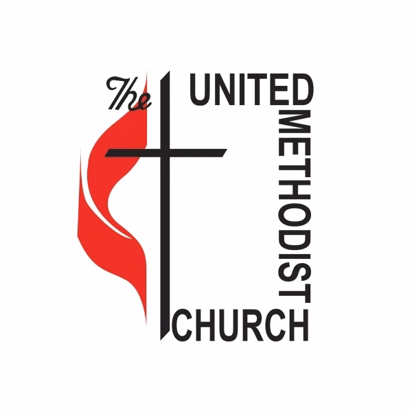 Religious Economy Car Flag - Methodist