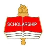 Scholarship Academic Pin 1