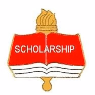 Scholarship Academic Pin