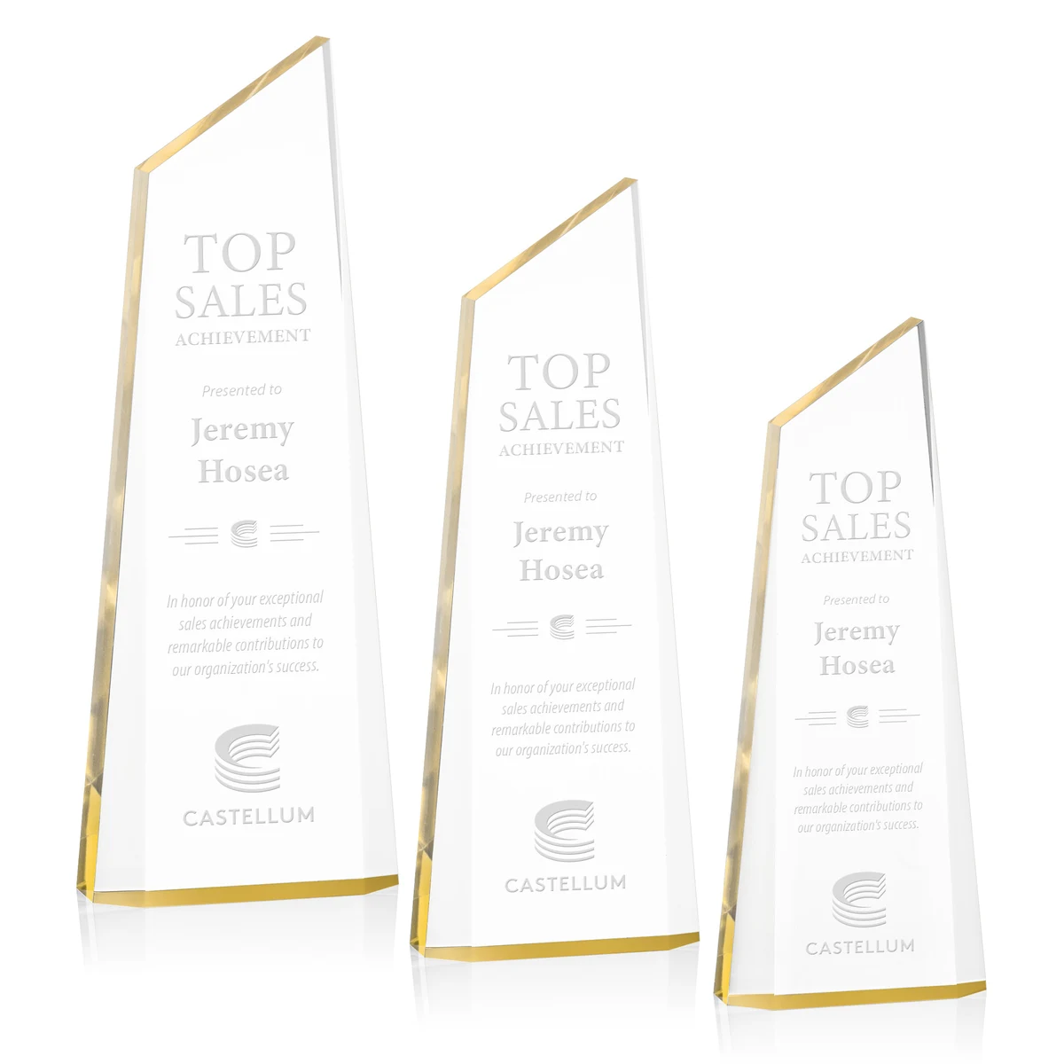 Hudson Award - Gold 1
