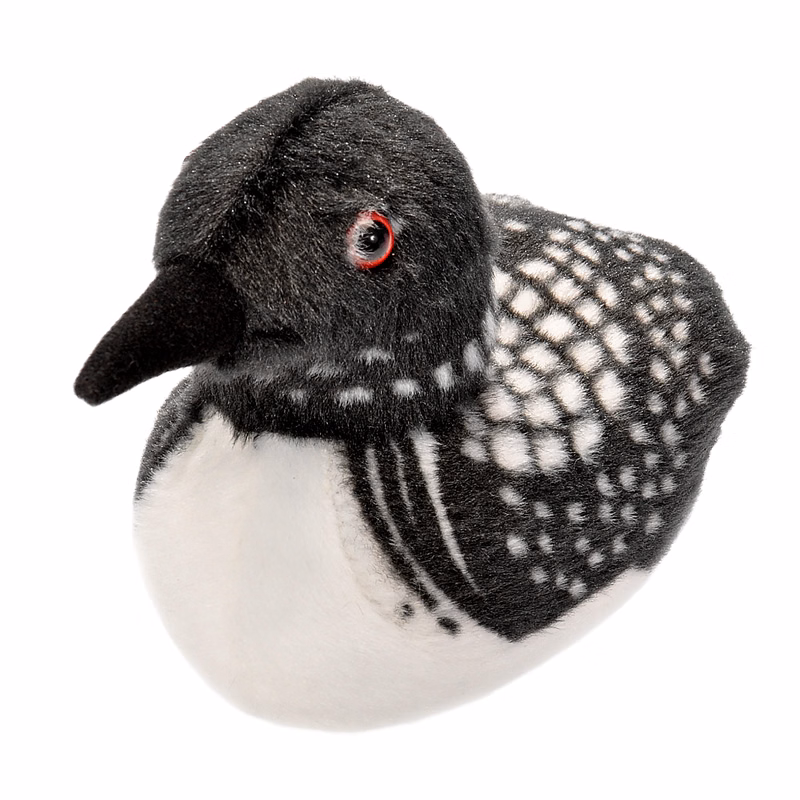 7" Audubon Common Loon