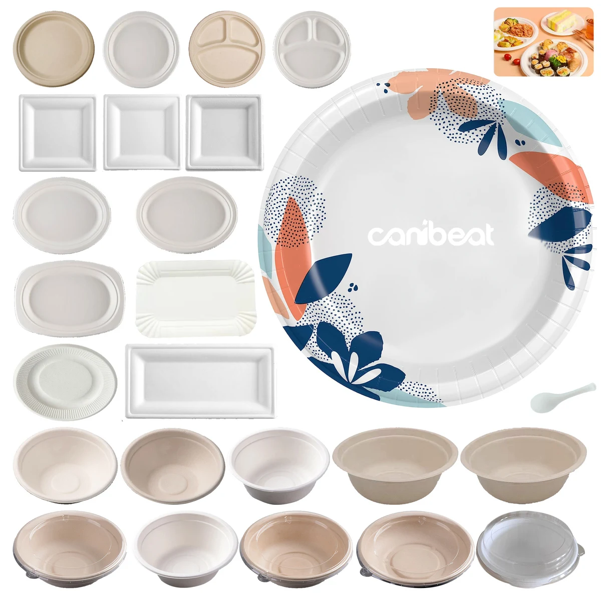 Printed Disposable Plate 1