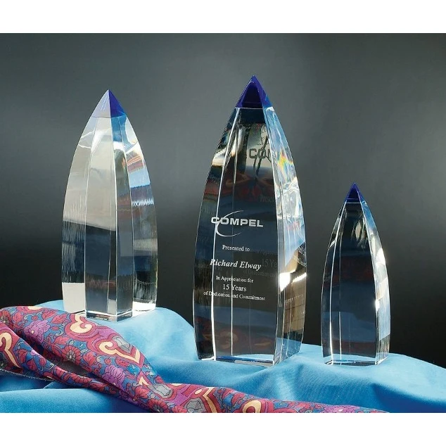 Artistic Expressions Crystal Vetri Award 1