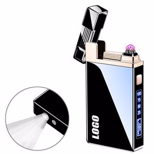 Dual Electric Arc Lighter With Built In Flashlight