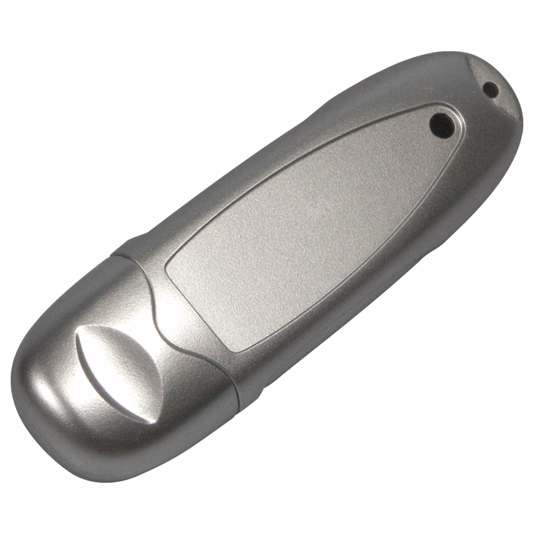 1005FMS - Flash Memory Drive V2.0