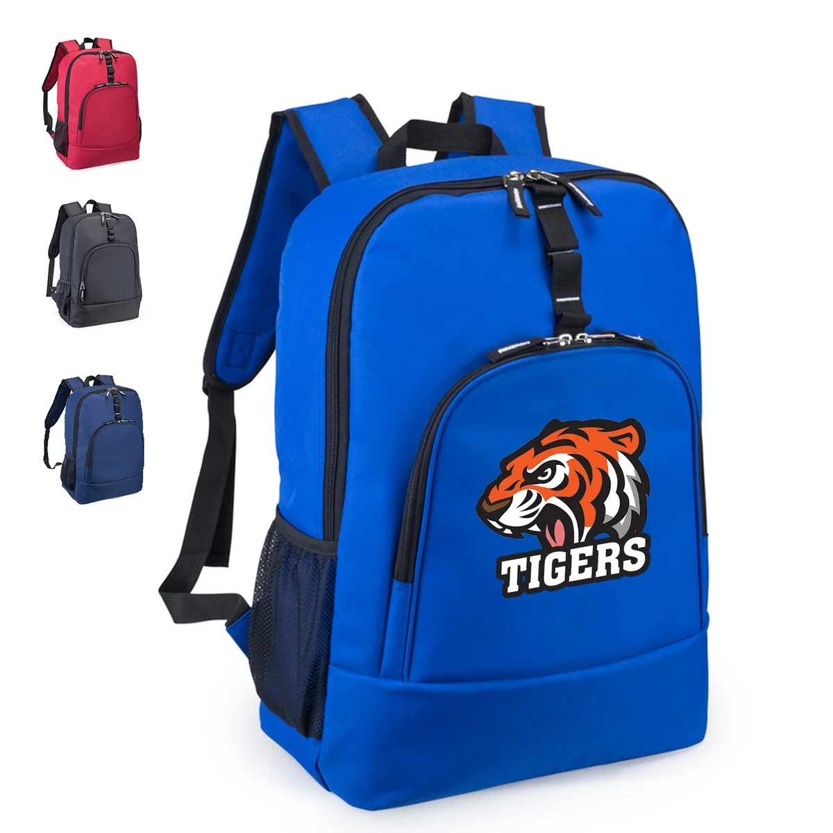 Traditional Computer Backpack 1