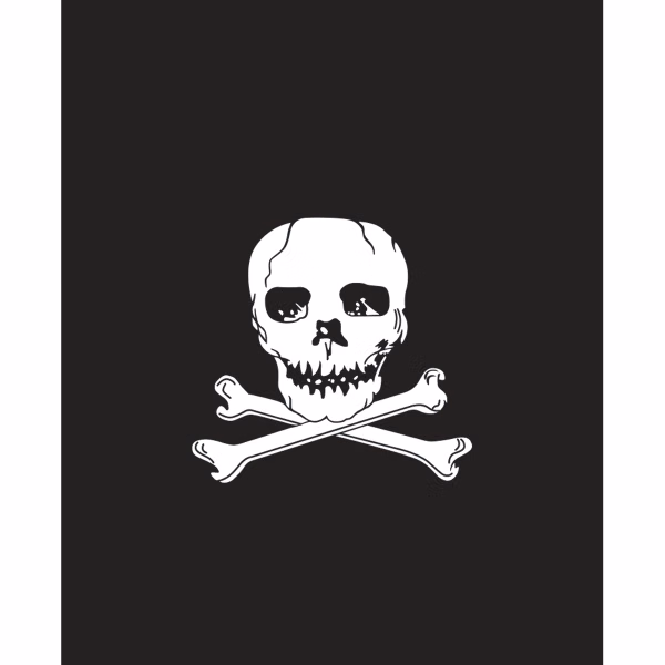 Jolly Roger Garden Pennant
