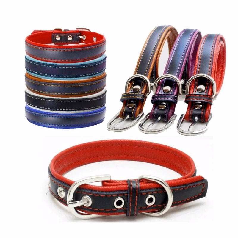 Leather Dog Collar