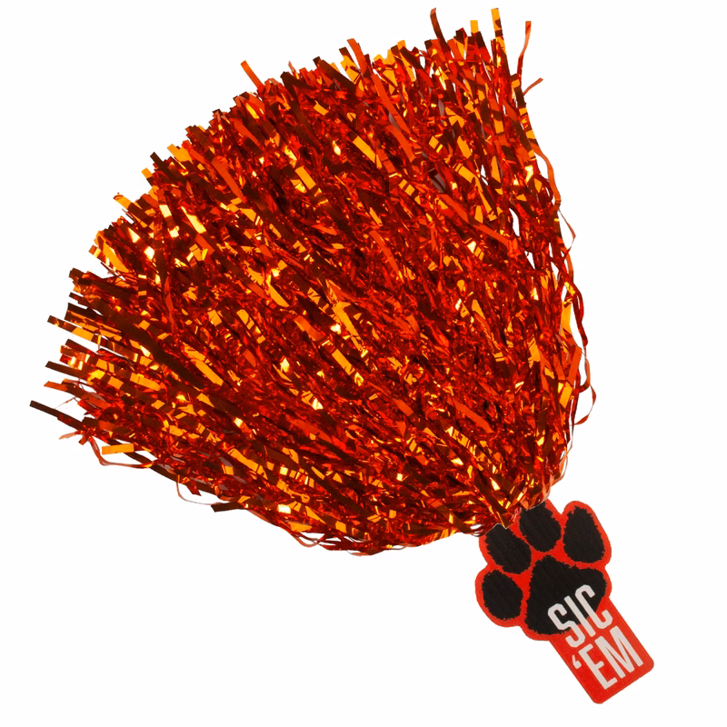 2" x 6" Spirit Stick, Metallic Streamers