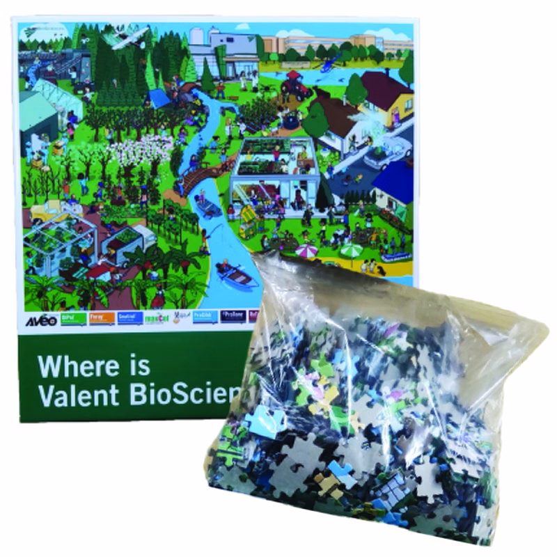 500 Or 750 Piece Custom Jigsaw Puzzle