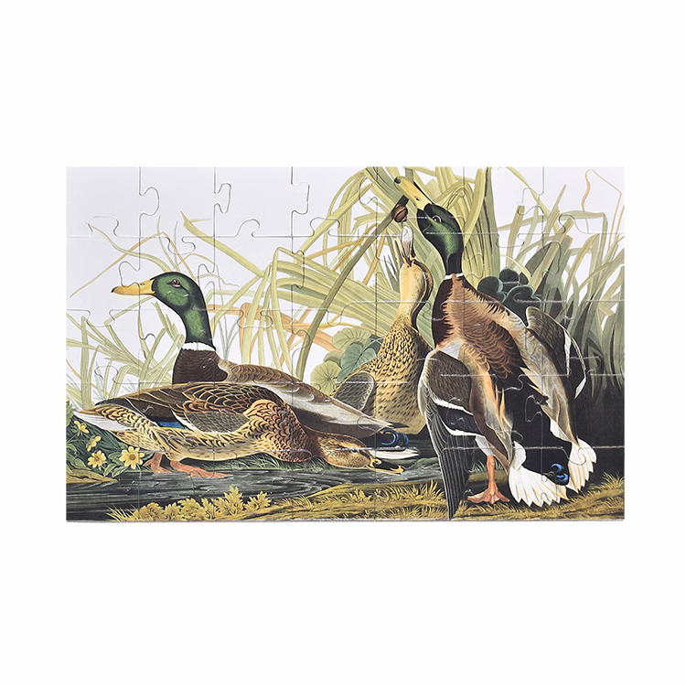 35 Pieces - 11" x 16" - Large Puzzle