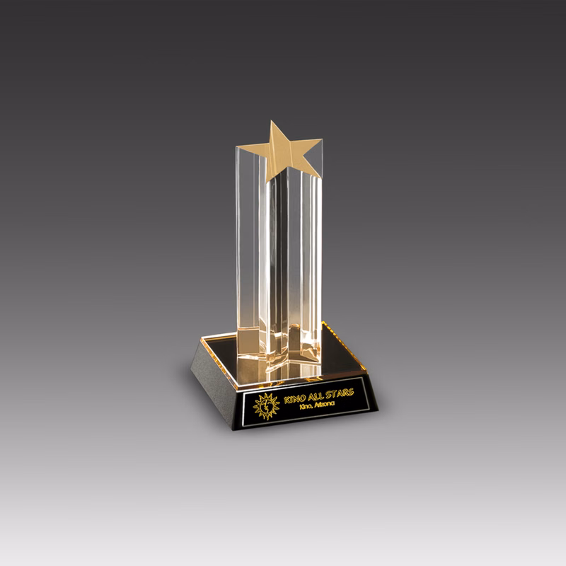 8" Star Column Award