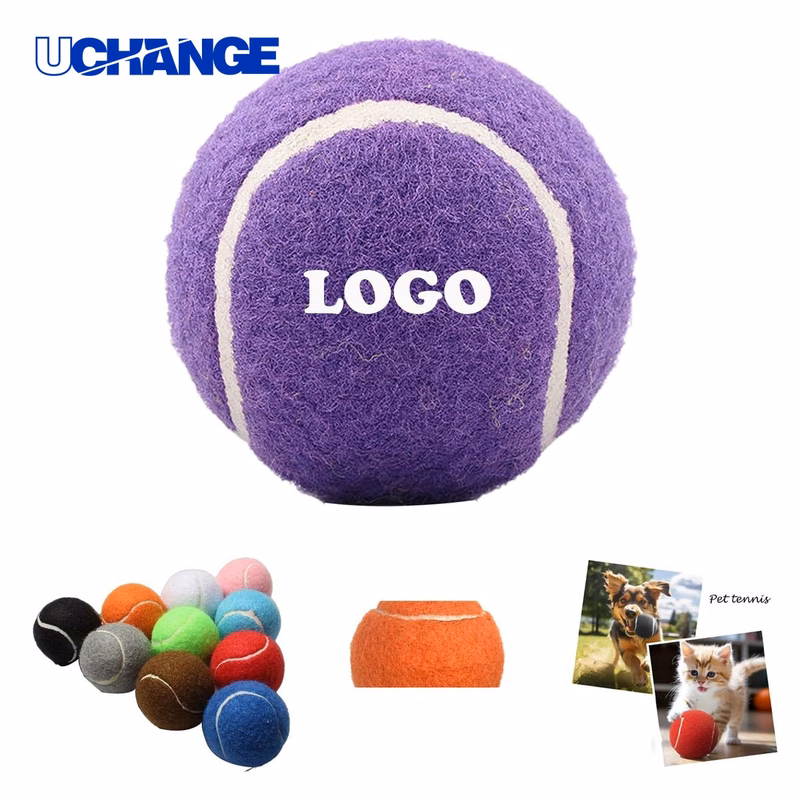 Durable Fetch Toy for Dog Outdoor Training Play