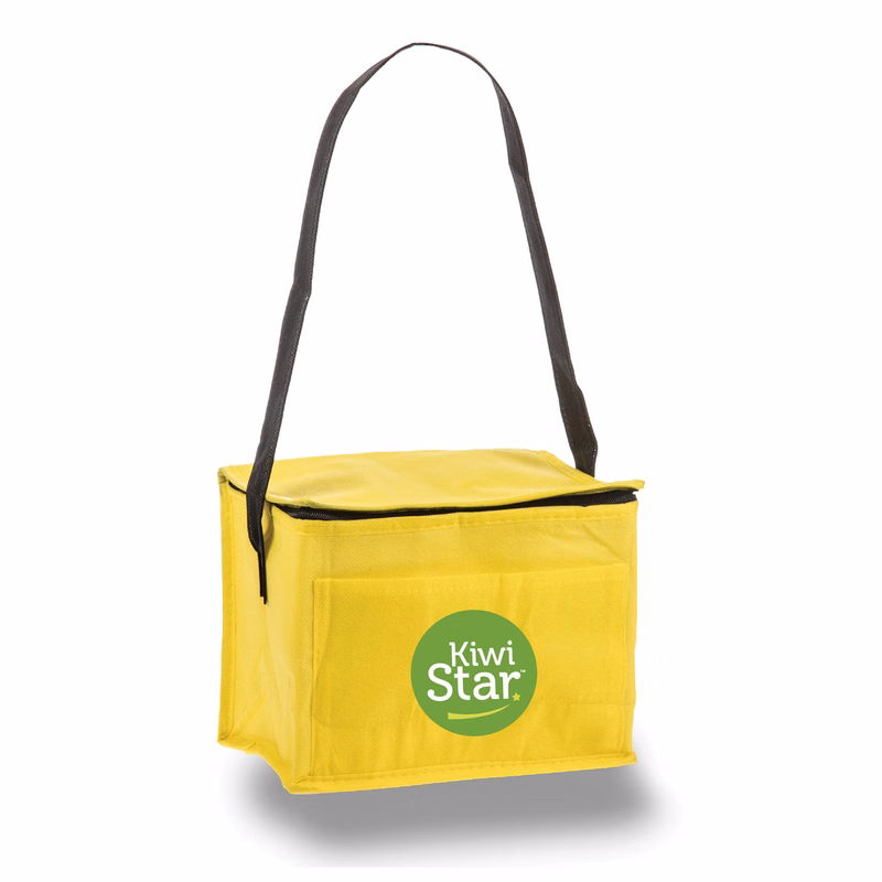 Non Woven 6 Can Cooler Bag
