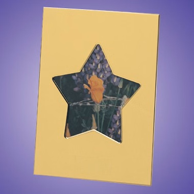 BRASS STAR PHOTO FRAME