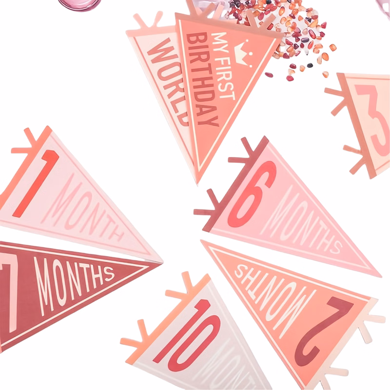 Baby Monthly Milestone Banner MOQ50