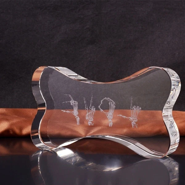Bone Shape 3d Laser Crystal Trophy 1