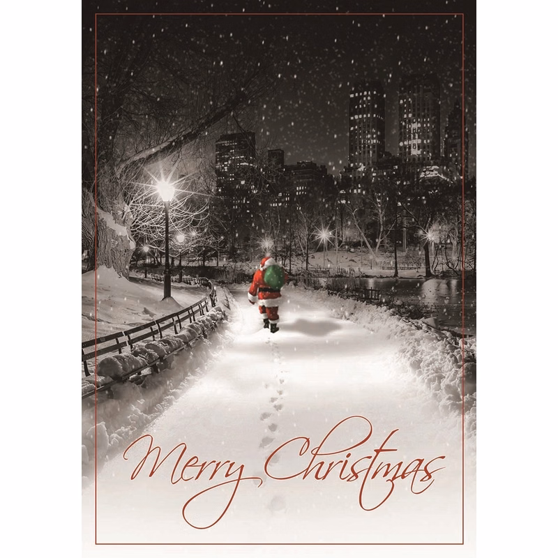 Midnight Santa Christmas Cards