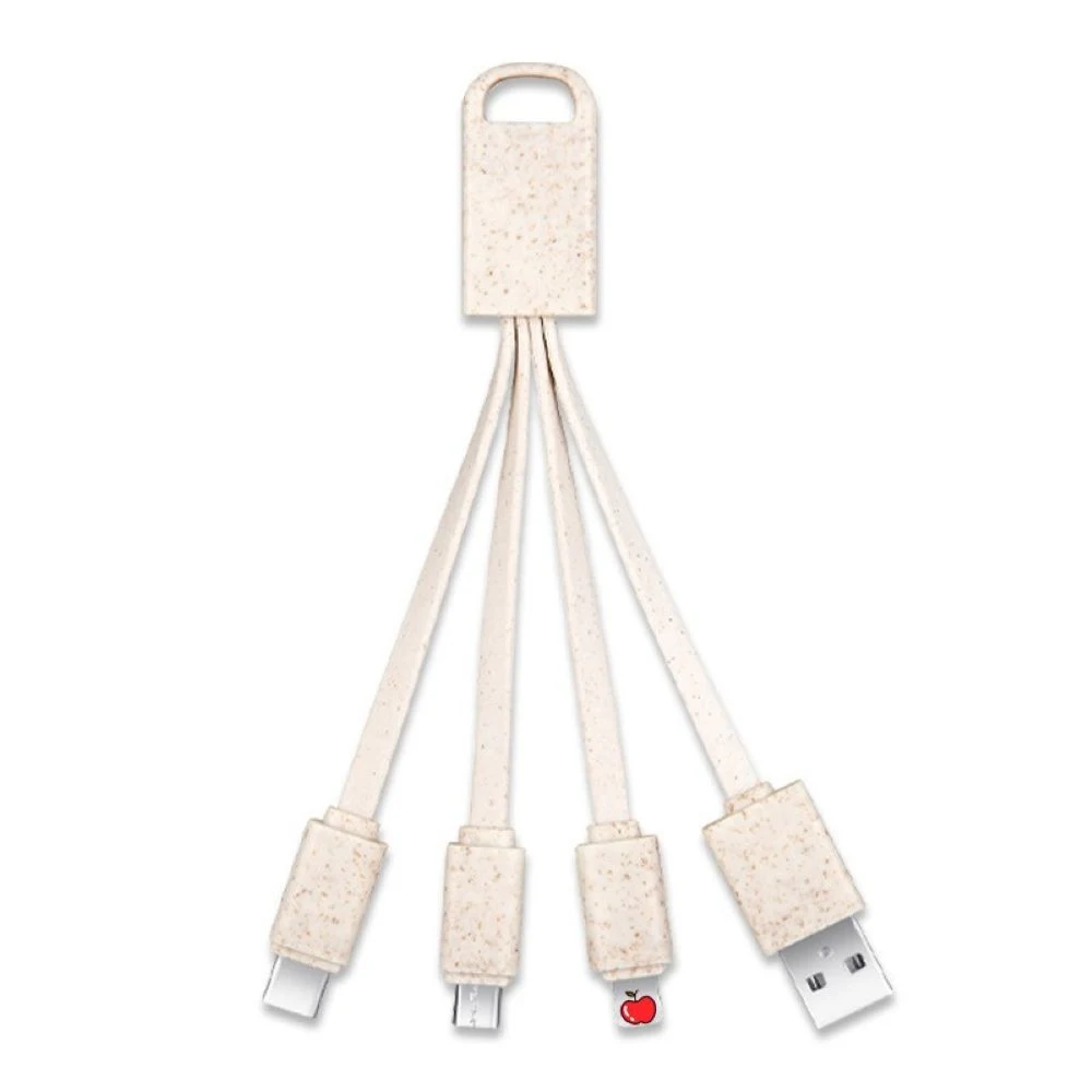 Multi in One Charging Cable 1